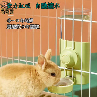 臺灣現貨🐱‍🐉【喵喵汪】兔子飲水器 兔子喝水器 兔子餵水器 兔用飲水器 掛籠飲水器 寵物飲水器 寵物喝水器 自動飲水器