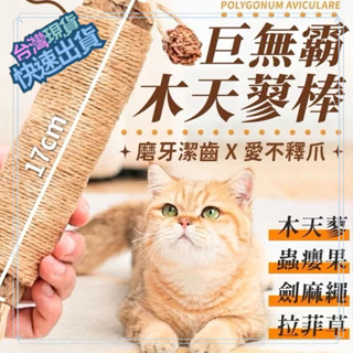 貓咪木天蓼 木天蓼 貓咪磨牙棒 天然草本 貓玩具 木天蓼磨牙棒 蟲癭果 貓磨牙 貓咪自嗨玩具 超巨大木天蓼