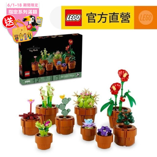 【LEGO樂高】Icons 10329 迷你盆栽(居家擺飾 禮物)