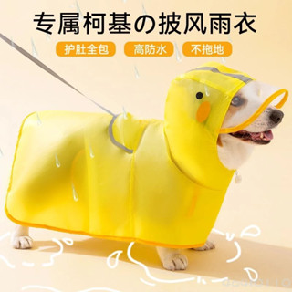 【店鋪熱銷】柯基犬專用狗狗雨衣 中小型犬泰迪柴犬 寵物雨天衣服 防水肚兜 透氣舒適 安全耐用 多色可選