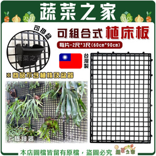 【蔬菜之家滿額免運】可組合式植床板(60cm*90cm)穴植管架 植管架 植生板 鹿角蕨上板 花架板 草莓架 鹿角蕨