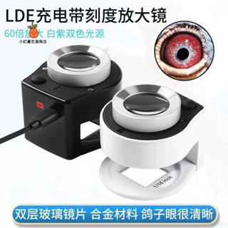 免運 好用高品帶刻度 放大鏡120倍 手持 目鏡顯微 鏡照布鏡印刷帶LeD充電放大鏡 燈充電