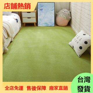 【現/貨/秒/發】地毯臥室北歐風珊瑚絨地毯臥室居家裝飾長毛地毯耐髒床邊地毯房間滿鋪地毯客廳地墊短絨毛地毯絲毛地毯訂製