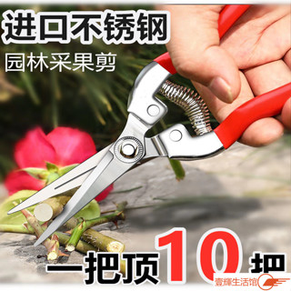 ✨臺灣熱賣✨進口不銹鋼摘果剪園藝剪刀修枝剪葡萄火龍果剪埰摘花椒神器專用剪