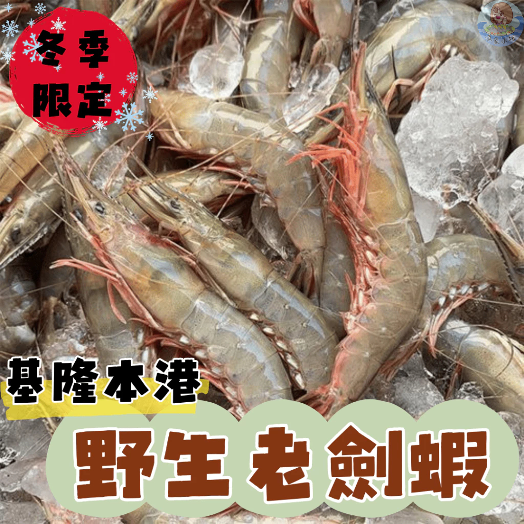 【漁家小妹】野生老劍蝦 大劍蝦 老劍蝦 1.2kg 冬季限定 野生無養殖 野生劍蝦 本港野生黑劍蝦 現流野生劍