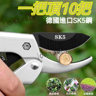 新品 【鋒利不生鏽】德國進口鋼粗枝剪滑輪省力修枝剪刀園藝修花木果樹嫁接園林剪工具 1b