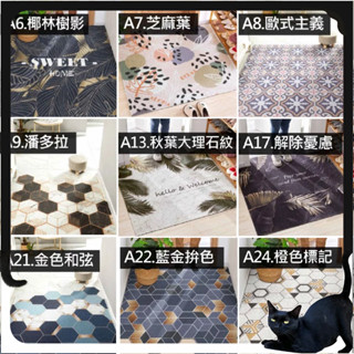 絲圈地墊🔥臺灣現貨🔥【BettyBED】門口地墊 玄關地墊 大門地墊 PVC地墊 刮泥地墊