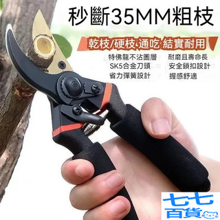 🔥好物推薦🔥SK5 樹枝剪 園藝剪 花剪 園藝剪刀 修枝剪 高枝剪 修花剪刀 果樹剪 園藝工具 花藝剪刀 修枝剪