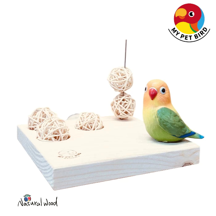 MY PET BIRD 藤球除了丟地上還能怎麼玩 | 藤球遊戲台 W064