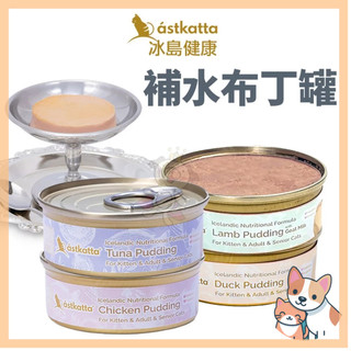 🚀熱銷🚀【Astkatta】冰島健康 補水布丁罐 40g【24罐組】湯包罐 補水罐 主食貓罐 貓罐頭