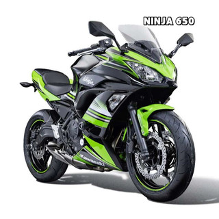EP 2017+ KAWASAKI Ninja 650 忍者 手機架 車機 導航支架 Quad Lock Garmin