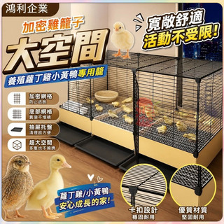 【開立發票】🔥加密雞籠 居家用養殖籠 蘆丁雞小黃鴨專用 附糞便託盤 大空間戶外籠