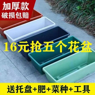 【熱賣】霍倫盆陽臺種菜盆長方形花盆莓蔬菜種植箱塑膠花盆包郵代