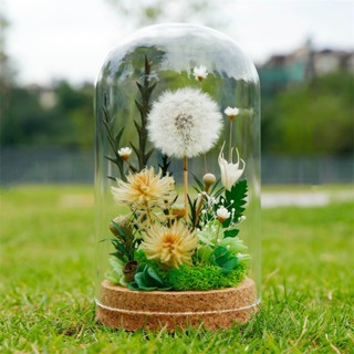 [小皮花坊] 臺灣現貨 可開收據 永生蒲公英玻璃花罩永生花蒲公英玻璃罩棉花玻璃250424
