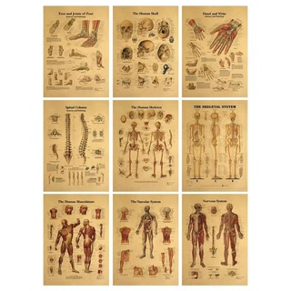 人類骨架 - 正面/懷舊復古 Krahn 紙海報裝飾畫