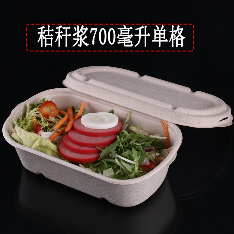 【現貨】一次性紙漿餐盒紙漿環保可降解飯盒500ml外賣打包沙拉便當快餐盒