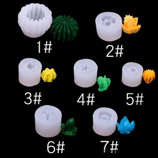 【快速出貨】3D多肉植物矽膠模具立體仙人球盆栽蛋糕甜品翻糖烘焙石膏擺件裝飾
