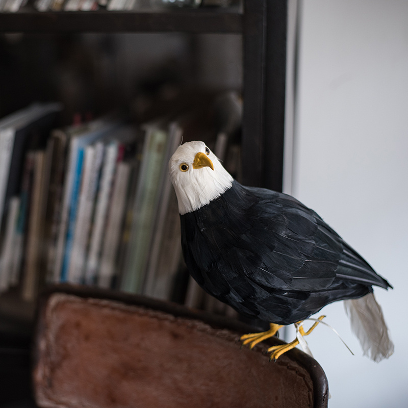 【現貨】日本PUEBCO仿真鳥類標本客廳創意家居裝飾擺件貓頭鷹鸚鵡火烈鳥