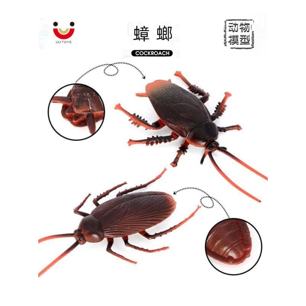 模型樂園✨動物模型兒童認知仿真蟑螂整蠱嚇人塑膠玩具蟑螂小強爬蟲沙盤擺件