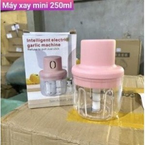 250ml 手持式迷你攪拌機可充電迷你、研磨肉類、辣椒、洋蔥、大蒜、蔬菜。