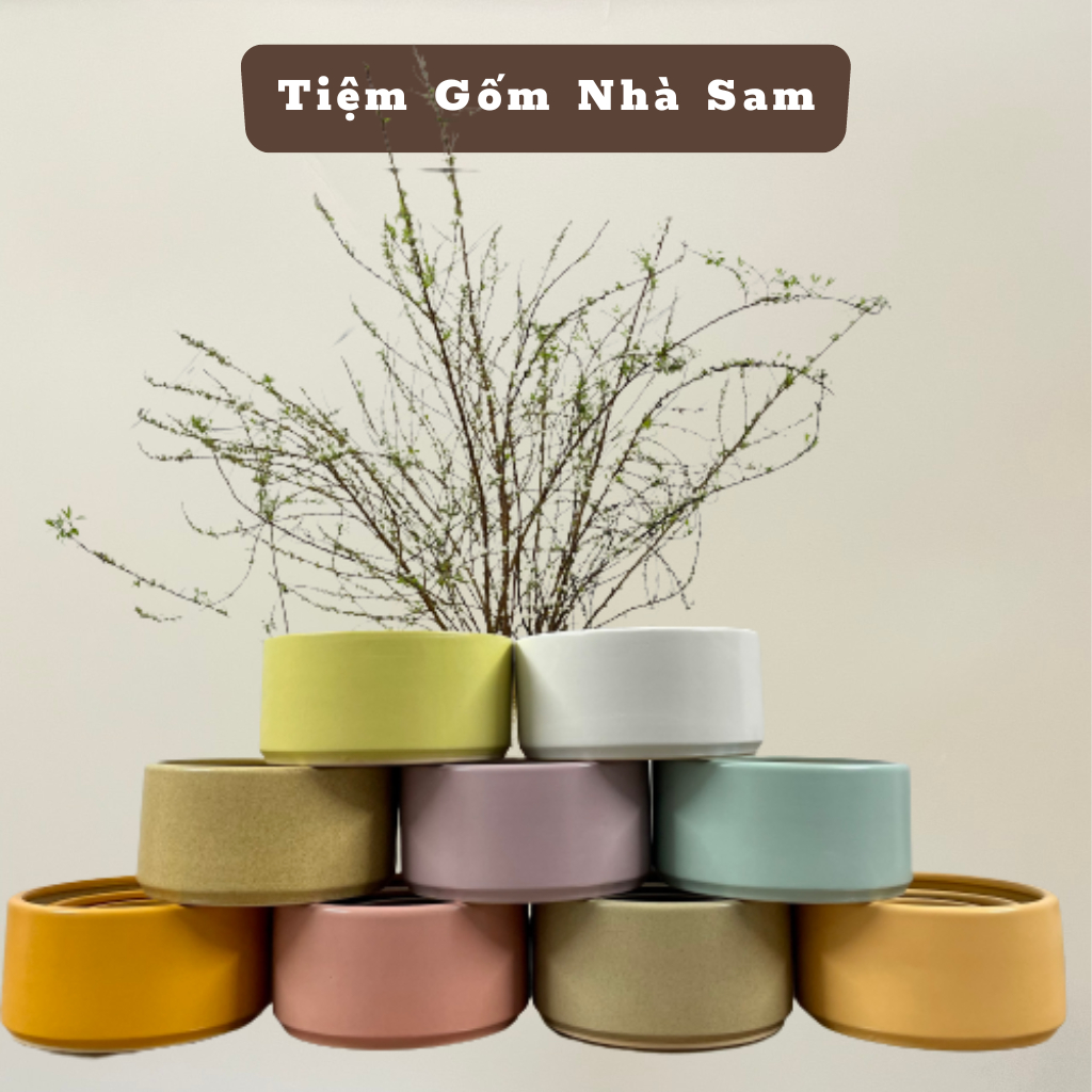 Sam House陶器扁平圓柱形陶瓷花盆,適合種植迷你/盆景、石蓮花、仙人掌、微型