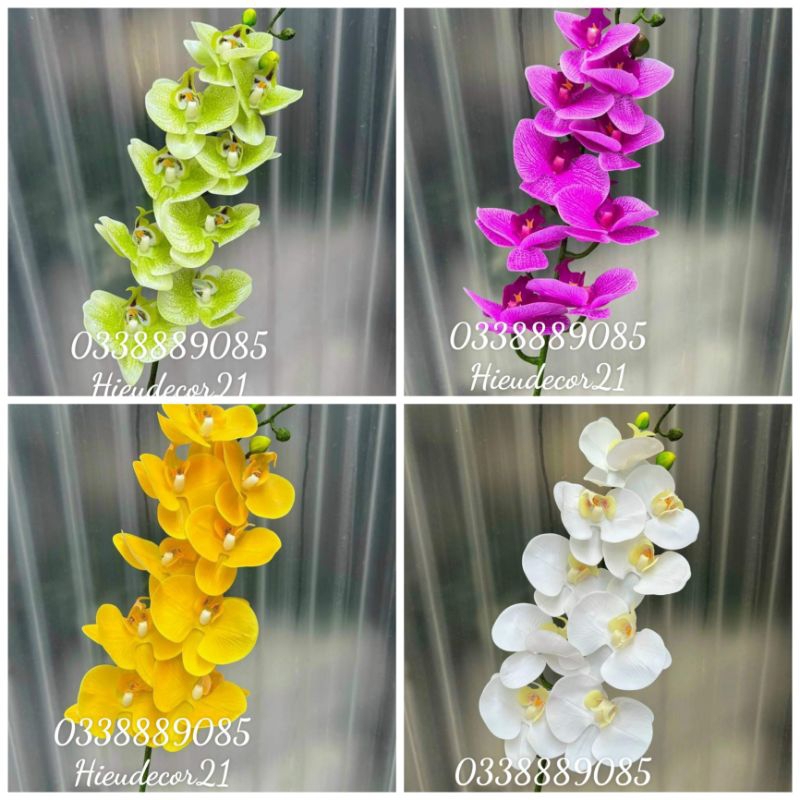 (9 Flowers) - 假蘭花 Ho Diep 橡膠 9 棉 - 正品