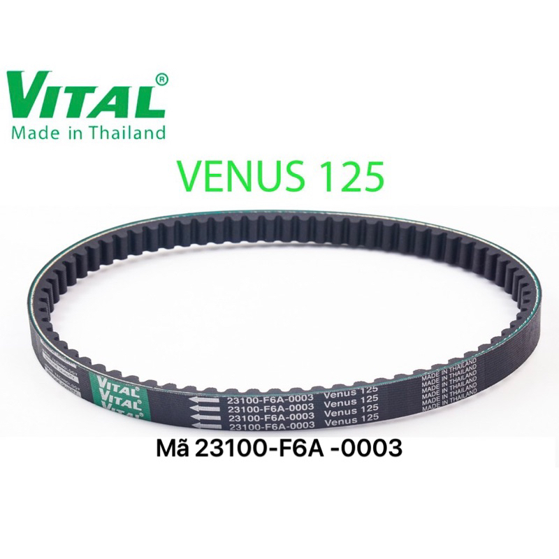 Attila Venus Zin 皮帶代碼 23100 -F6A-0003 - 正品 VITAL