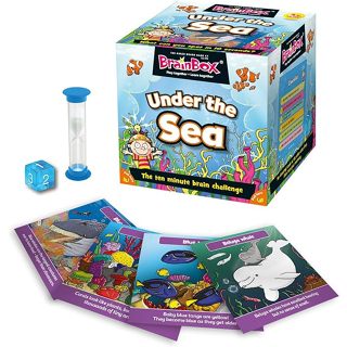 Brainbox 海底益智玩具套裝