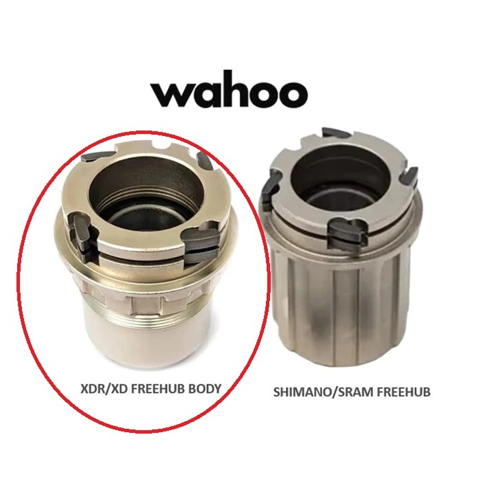 Sram XD /XDR Freehub 身體罐,用於 Wahoo Kickr / Kickr Core 鍛煉機