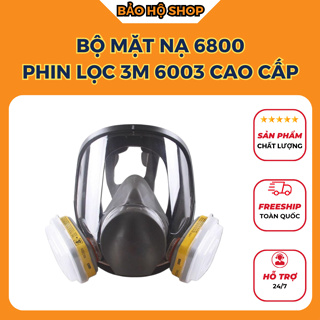 6800 防毒面具套裝,帶 3M 6003 過濾器、高過濾能力、噴霧面罩、噴漆、無毒煙霧、火災。