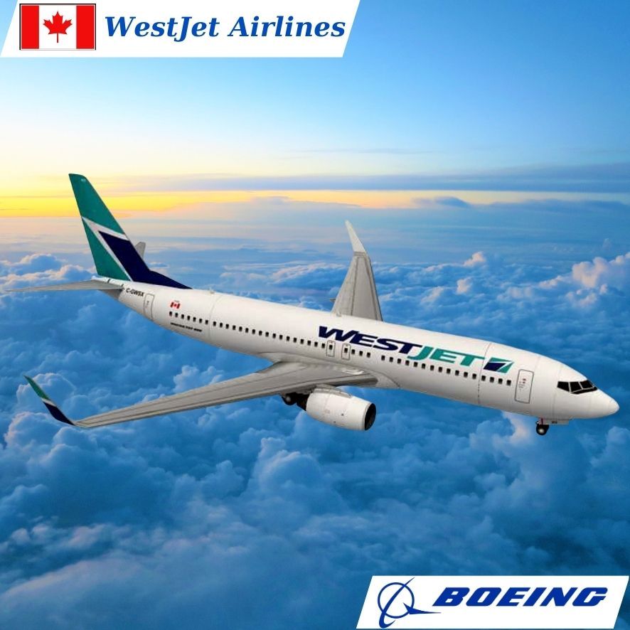 商用飛機紙模型 BOEING 737 WestJet