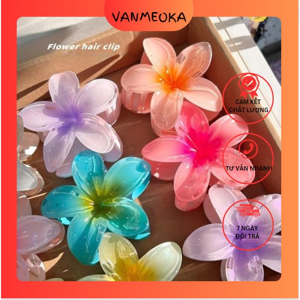 五顏六色的素馨花髮夾韓式沙灘時尚-vanmeoka