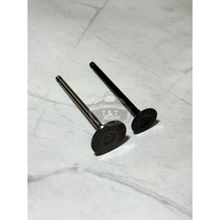 Mushroom Mushroom Mushroom (Xuppap) Vespa Piaggio 模型 2V,模型 3