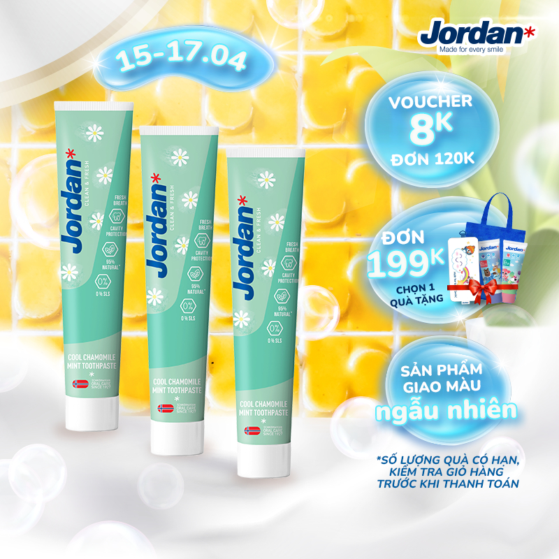 【組合3管】Jordan Clean &amp; Fresh Cool 薄荷成人牙膏 75g/管