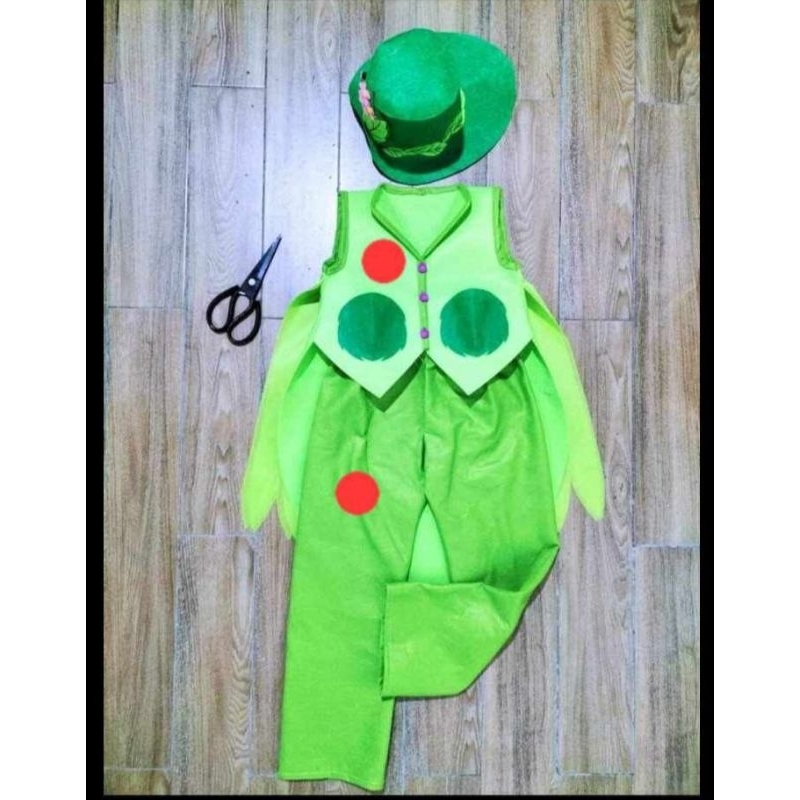 男孩的自製服裝:綠色小丑