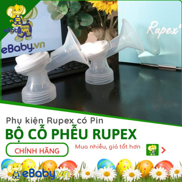RUPEX的價格推薦 - 2026年5月 | 比價比個夠BigGo