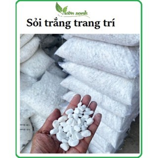 1 公斤 - 白色鵝卵石裝飾有多種尺寸的微型景觀、花園、植物盆栽、裝飾魚缸和微縮模型