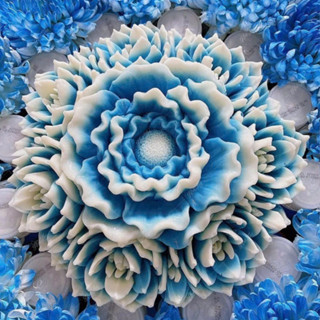 牡丹矽膠模具 3d 和 4d 矽膠牡丹模具,用於製作果凍、粘米、香皂蠟燭