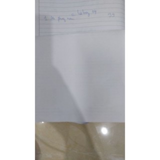 樂邦專案******