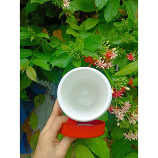 Duy Tan 保溫杯 1 升 - 雀巢咖啡店的商品 - Minh Khoi Shop