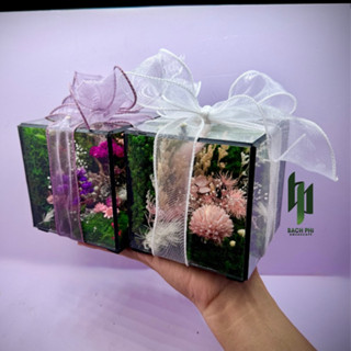 [禮品包裝] 禮品包裝] 產品禮品包裝服務禮盒/Bach PHI 生存苔蘚手提箱