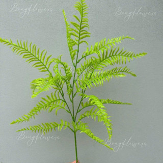 假蕨類植物樹枝和樹葉,用於裝飾的假蕨類植物