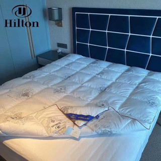 [專案型別 1] HITON FEATHER blanket Hilton 羽絨被插入是僅 4xx