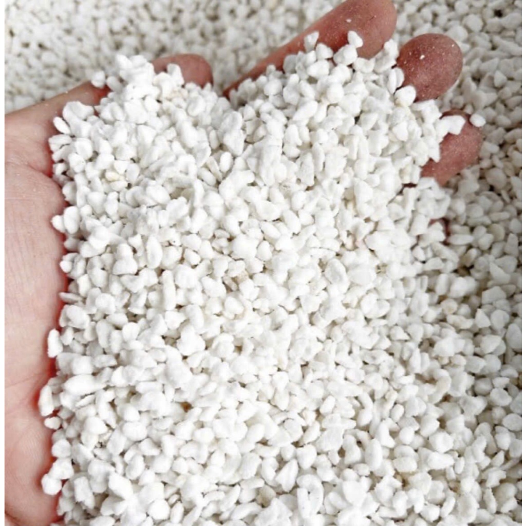 Perlite Stone - 用於種植和裝飾的珍珠石 (5dm)