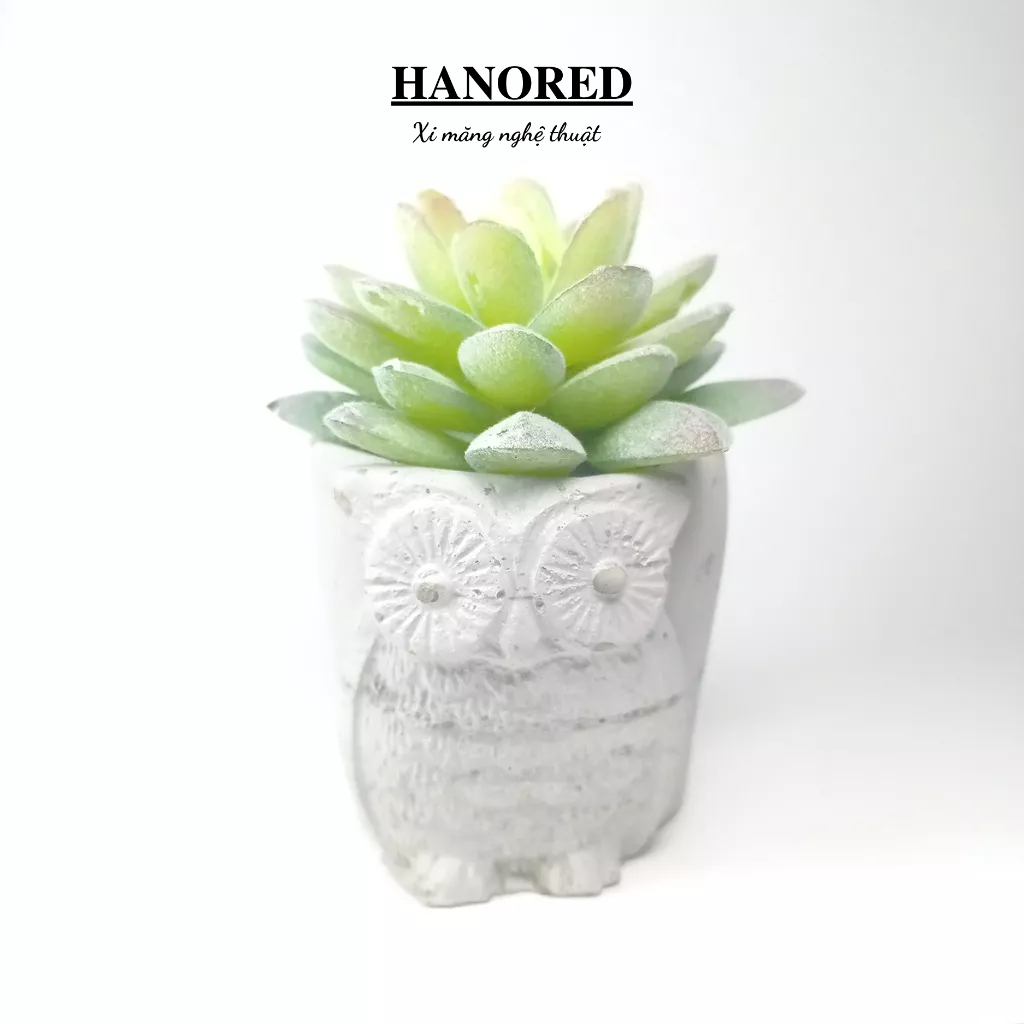 Hanored 2D 迷你水泥盆,用於種植石蓮花、仙人掌、碗尺寸 7.5*7*6 (cm)