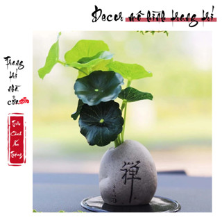 小景觀模型“迷你冥想蓮花花瓶”裝飾多肉植物、花園/花盆、DYI、玻璃容器